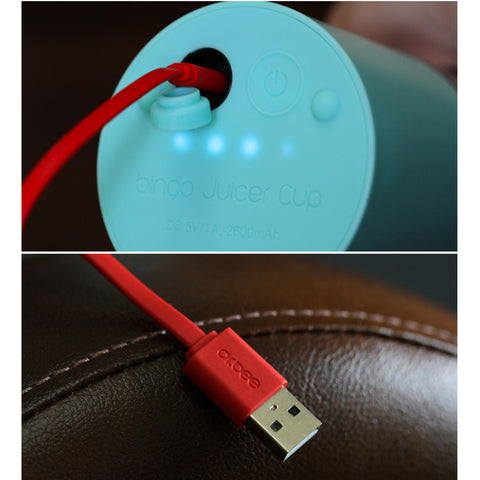 USB Portable Blender